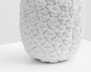 Hannah Ballhaus-Brinkies