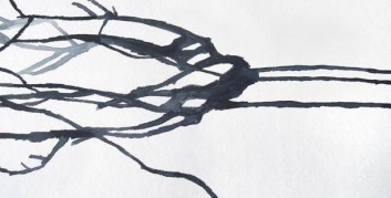 Anja Buchheister, Species (Detail), 2015