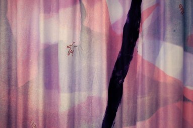 12039600_1235002729860214_1629195515792343636_n