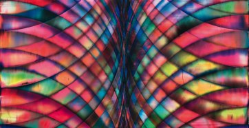 Shannon_Finley_Detail1